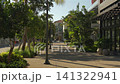 Sunlit tropical pedestrian street lined with palm trees and greenery 141322941