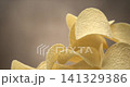 Potato chips flying in super slow motion 1000 fps against blue background 141329386