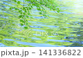 Fresh green maple trees and rippling water by the edge of a pond with a fountain. 141336822