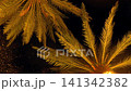 Upward view of illuminated palm trees with artificial snow at night 141342382
