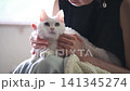 A close-up of a woman affectionately stroking a white cat, indoors. 141345274
