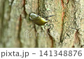 Kanabun 141348876