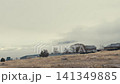 Thick fog drifting over a gloomy rural landscape 141349885