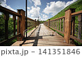 Wooden boardwalk leading through green park landscape on a sunny day 141351846
