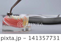 Metal Dental Crown Removal from Molar on Jaw Model 141357731