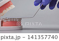Dentist hand in blue glove examining dental jaw model with a mirror. Oral care concept with copy space 141357740