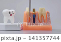 dental probe pointing to a dental implant, gum tissue, jawbone and tooth roots on an anatomical model. 141357744