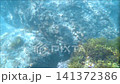 A calm summer day on the Sea of Japan... Niigata [Kasashima Beach] 141372386