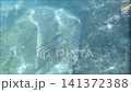 A calm summer day on the Sea of Japan... Niigata [Kasashima Beach] 141372388