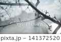 Wet tree branches with drifting droplets under bright backlight, detailed close view of thin twigs, soft sky glow, calm outdoor nature scene with muted colors, with branch, twig, droplet, water detail 141372520