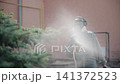 Person in protective hooded coverall spraying fine mist toward evergreen tree in urban courtyard beside pastel wall with safety gear, soft daylight, and visible moisture 141372523