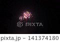 打ち上げ花火・花火大会イメージ（音声あり） 141374180