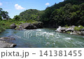 Nagatoro Valley in the summer 141381455