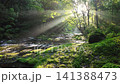 Summer Kikuchi Valley 141388473