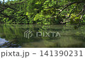moat, landscape, scenery 141390231
