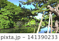 moat, landscape, scenery 141390233