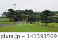 A scenic asphalt road winds through Nokonoshima Island Park in Fukuoka during April. Beautifully trimmed niwaki trees with green cloud-like shapes line the pathway.  141393569