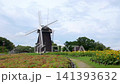 夏日公園景色,花朵盛開,風車點綴其間。 夏日公園景色,花朵盛開,風車點綴其間。 141393632