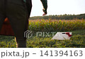 Man throwing cornhole bags onto wooden board, back view. Person playing popular American outdoor game at sunset in cornfield. 141394163
