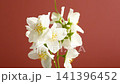 botanical jasmine flowers on elegant pink backdrop 141396452