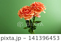 Three coral peach roses with foliage on pastel green backdrop 141396453