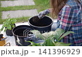 Woman gardens on home terrace, adding potting soil to a black flower pot near green plants. Concept of plant care, repotting and outdoor hobby 141396929