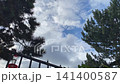 Timelapse. Overcast cloudy sky seen through the dark silhouettes of pine tree branches on a fence 141400587