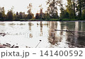 Golden sunset reflection on a wide river surface with dark silhouettes of forest trees 141400592