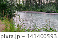 Wild grass and ferns growing on the riverbank next to a flowing forest stream 141400593
