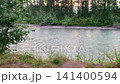 Calm flowing river with green trees and bushes on the shoreline at sunset 141400594