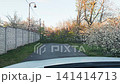 Man encounters fallen tree blocking road and cannot pass 141414713