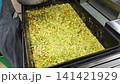 Volunteer prepares large container with food for distribution 141421929