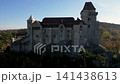 Drone view of Castle Liechtenstein near Vienna, Austria, forest around, 4k 141438613