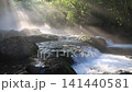 美麗光芒的菊池溪谷（菊池市） 141440581