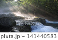 美麗光芒的菊池溪谷（菊池市） 141440583
