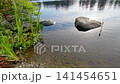 Clear calm water at a lake edge with rocks and green grass along the shoreline in Milton WA 141454651