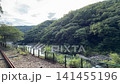 京都・嵯峨野トロッコ列車と保津峡の美しい渓谷風景｜京都を代表する人気観光スポットの4K動画 141455196
