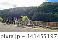 京都・嵯峨野トロッコ列車と保津峡の美しい渓谷風景｜京都を代表する人気観光スポットの4K動画 141455197