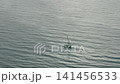 Lonely Sailboat Floating on Calm Sea 141456533