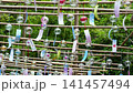 Numerous wind chimes swaying coolly in the breeze; fixed shot, zoomed in. 141457494