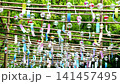 Many wind chimes swaying coolly in the forest 141457495