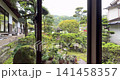 Japanese garden 141458357