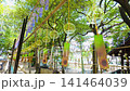 八田神社的風鈴裝飾 八田神社的風鈴裝飾 141464039