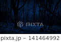 Spooky Woods At Night Moving Shot 141464992