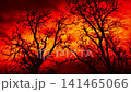 Scary Red Sky With Lightning Strikes Behind Dead Trees 141465066