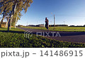 a lot of people passing by on a bicycle path 141486915
