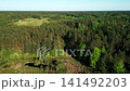green forest and meadows aerial top view, beautiful rural landscape 4k 141492203