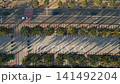 alley with palm trees aerial view, pedestrian street and car road at sunset, promenade at exotic tropical resort, directly above aerial drone view 4k 141492204