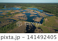 beautiful artificial lake in green forest, serene fishing pond and swamp, fishery and hunting industry, aerial top view, Osowek Poland 4k 141492405