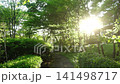 High-speed photography of lush green trees swaying in the wind, sunlight, and an apartment building. 141498717